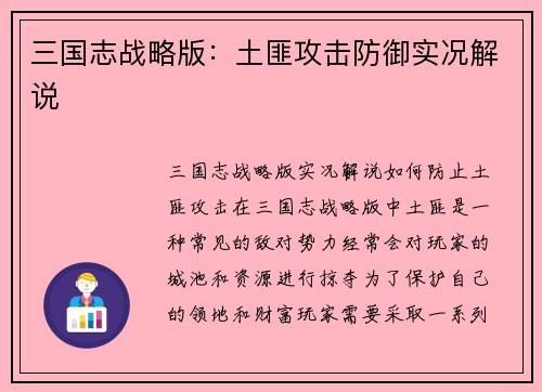 三国志战略版：土匪攻击防御实况解说