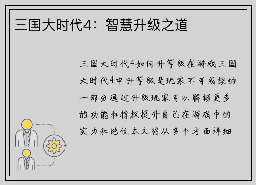 三国大时代4：智慧升级之道